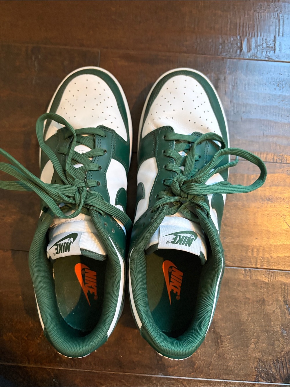 Nike Dunk Retro MSU 9.5